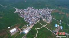 咖啡飘香 民族欢歌——沪滇协作点亮滇西村寨新生活